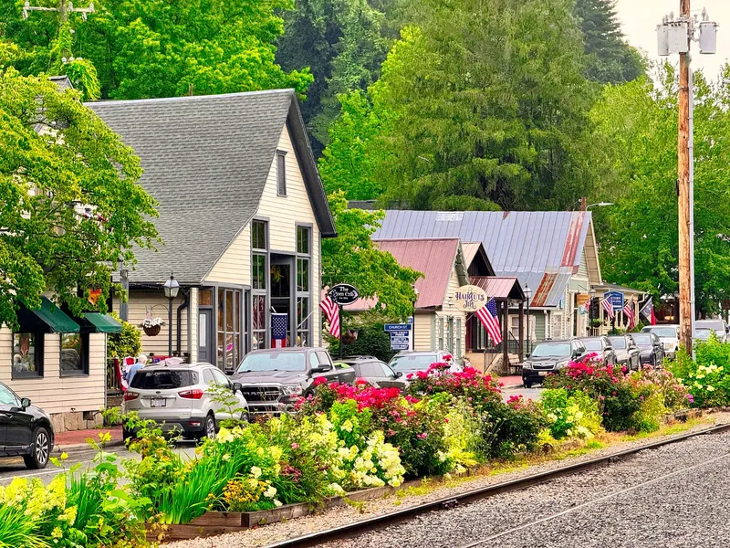 Dillsboro NC real estate homes for sale Jackson County Western North Carolina